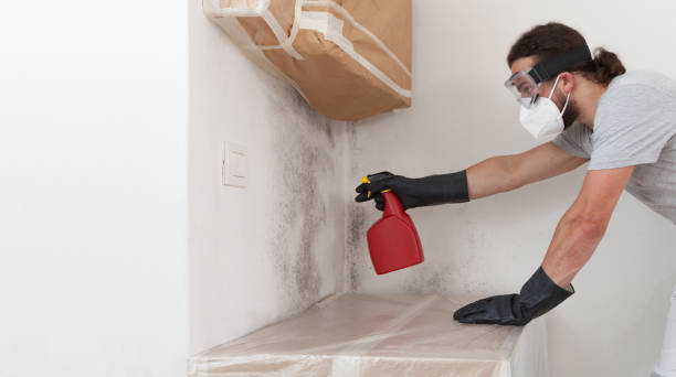Professional Mold Cleanup technician working in Woodbury, NY